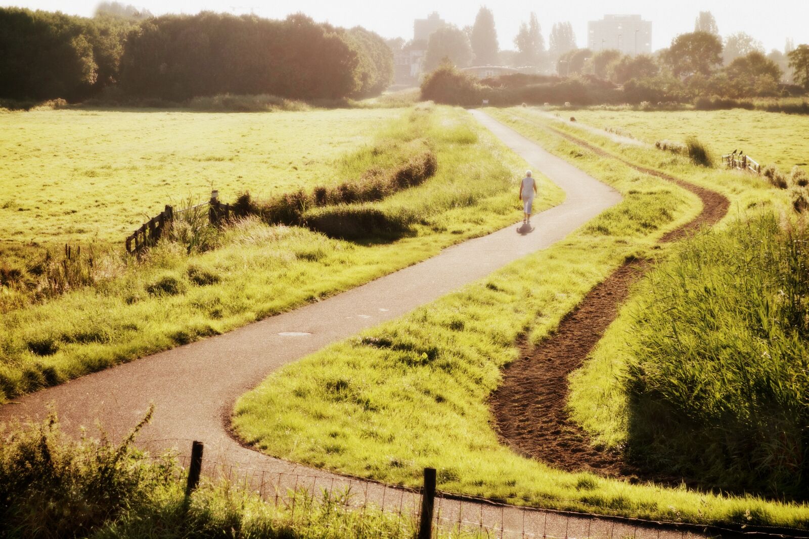 Sony Cyber-shot DSC-RX100 sample photo. Holland, landscape, dutch landscape photography