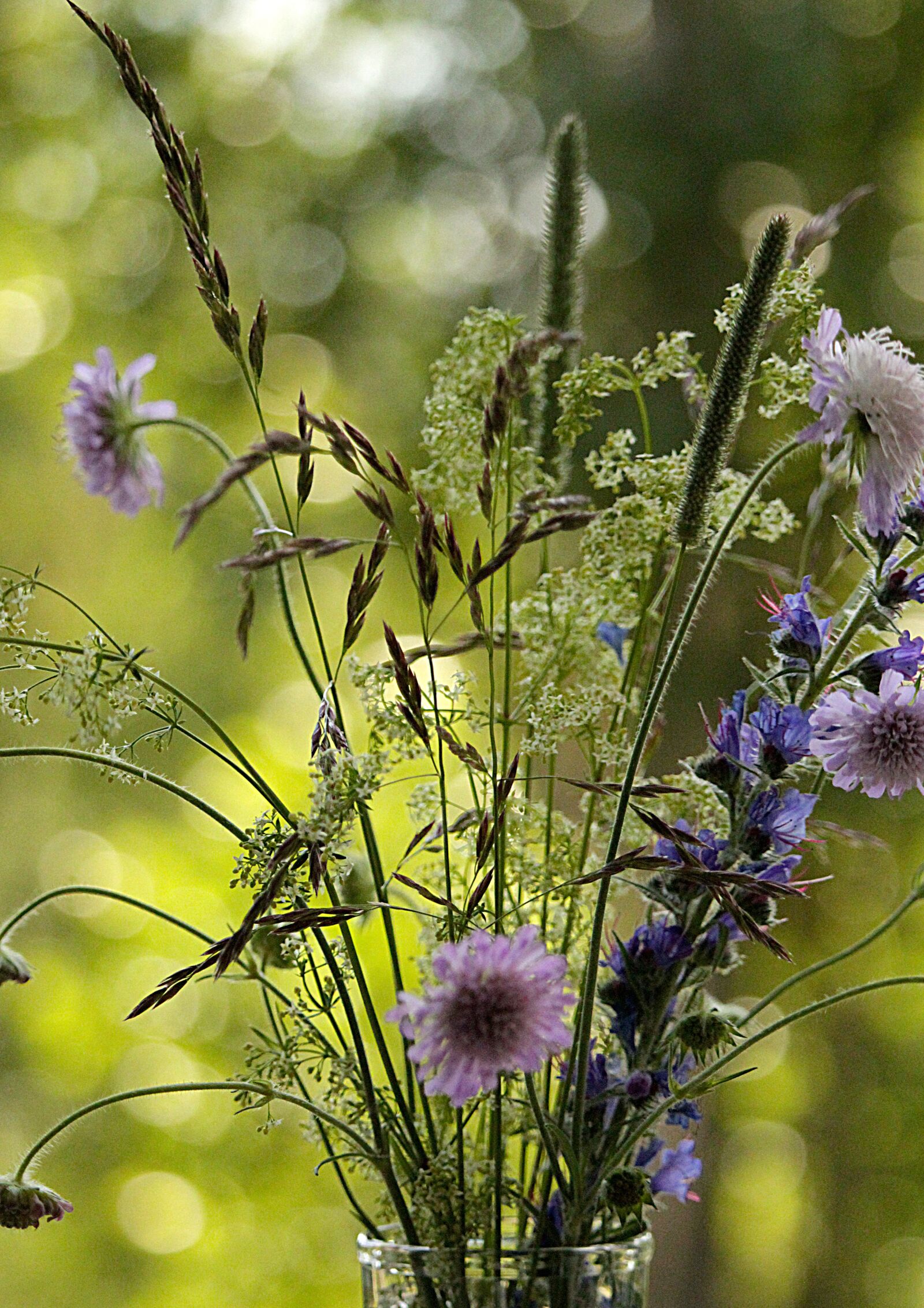 Canon EOS 1200D (EOS Rebel T5 / EOS Kiss X70 / EOS Hi) sample photo. Bouquet, summer, flowers photography
