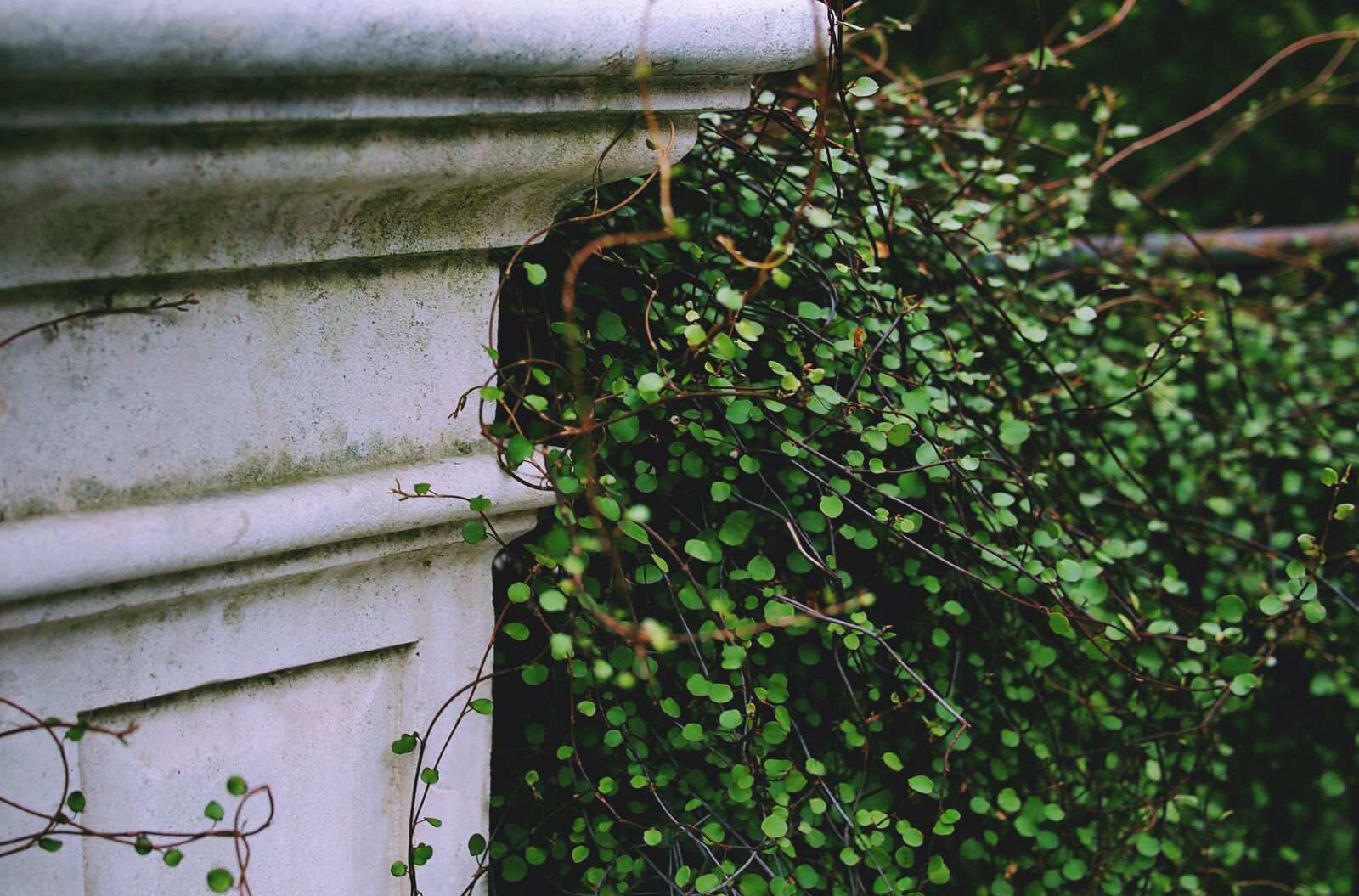 Olympus PEN E-PL1 sample photo. Garden, green, architecture photography
