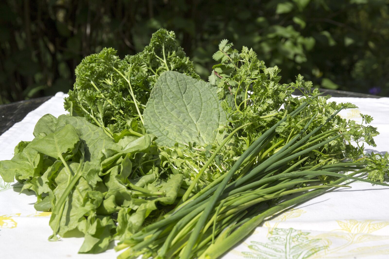 Canon EOS 600D (Rebel EOS T3i / EOS Kiss X5) sample photo. Frankfurt's green sauce, herbs photography