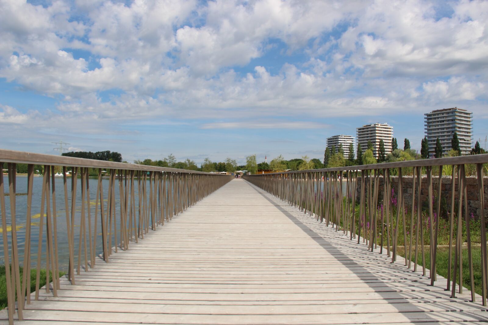 Canon EOS 700D (EOS Rebel T5i / EOS Kiss X7i) sample photo. Web, bridge, lahr photography