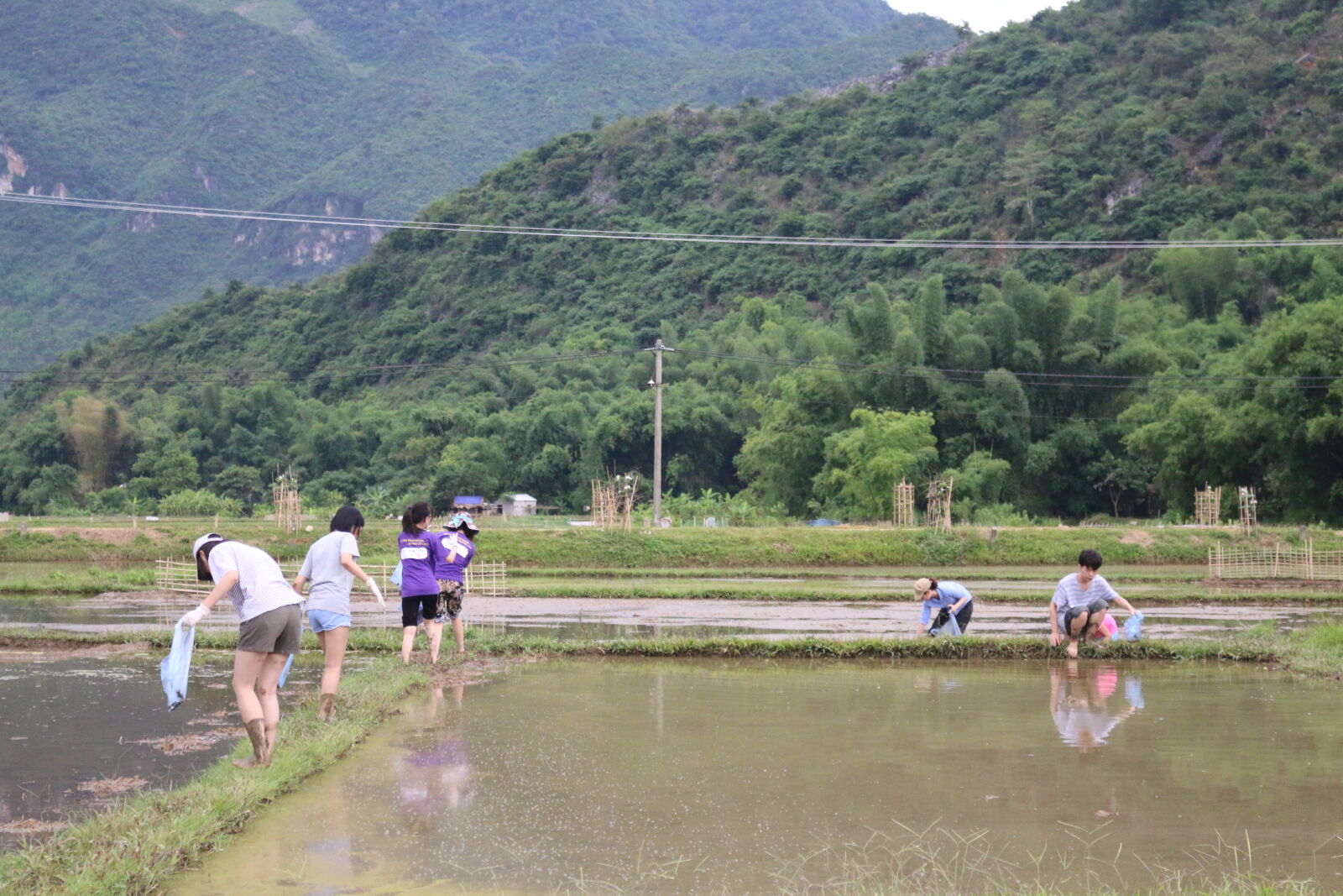 Canon EOS 70D sample photo