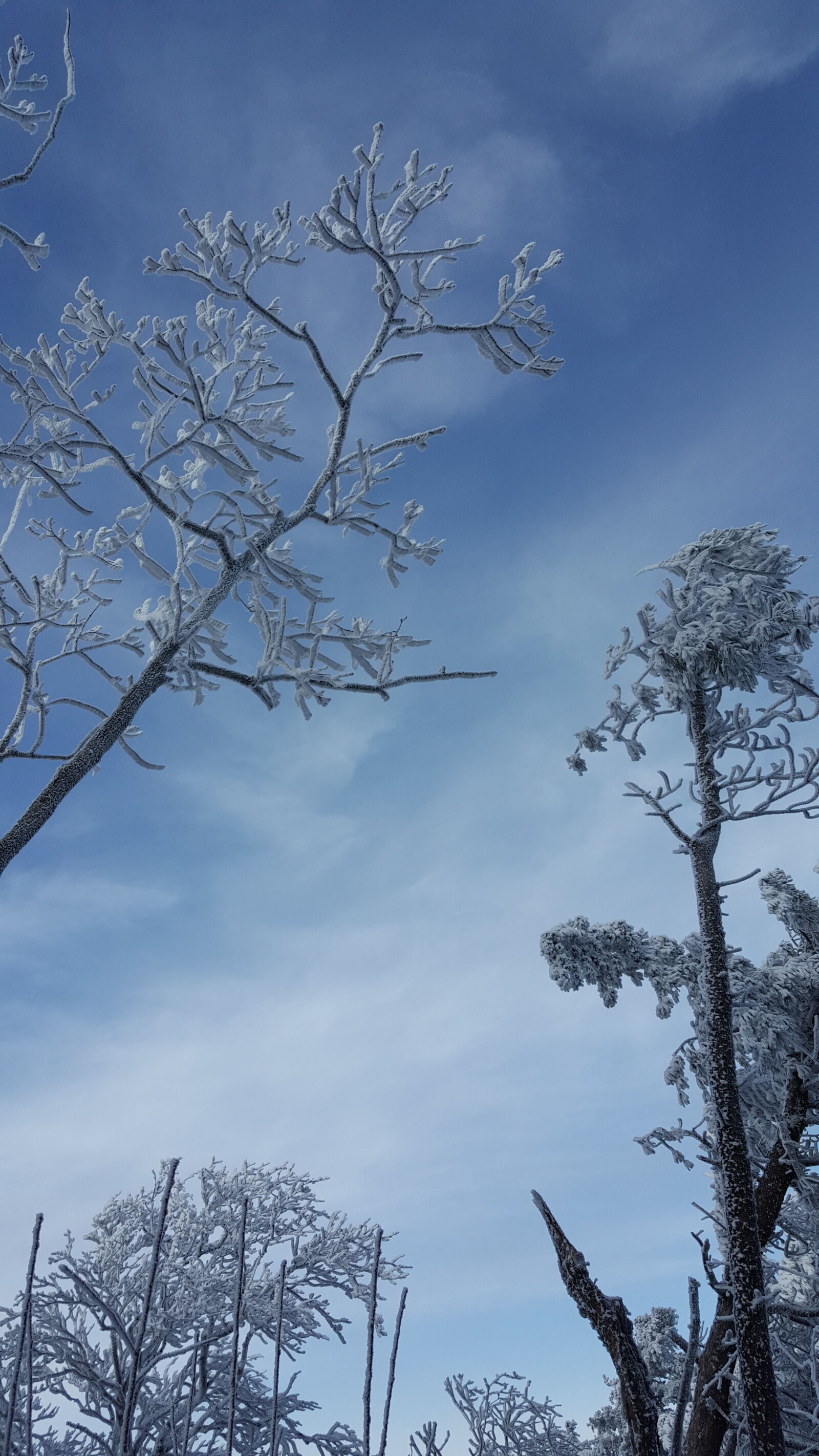 Samsung Galaxy Note5 sample photo. Korea, mountain, taebaeksan, winter photography