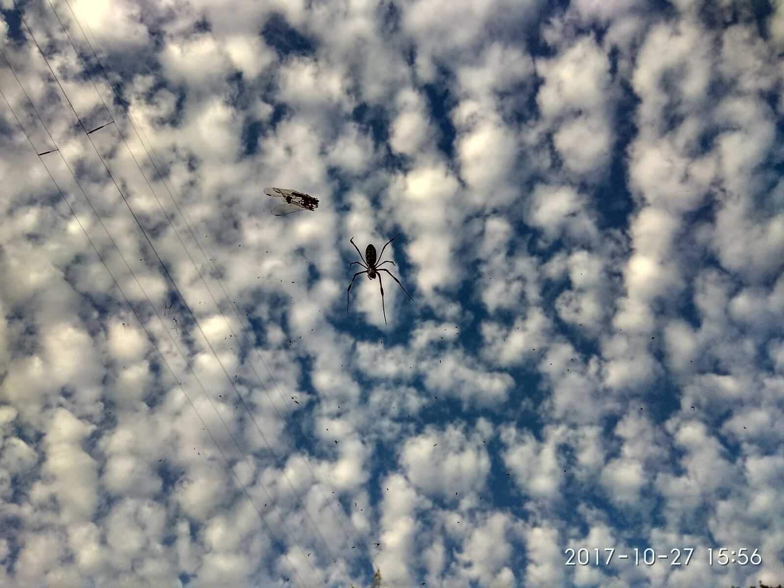 Xiaomi Redmi Note 4 sample photo