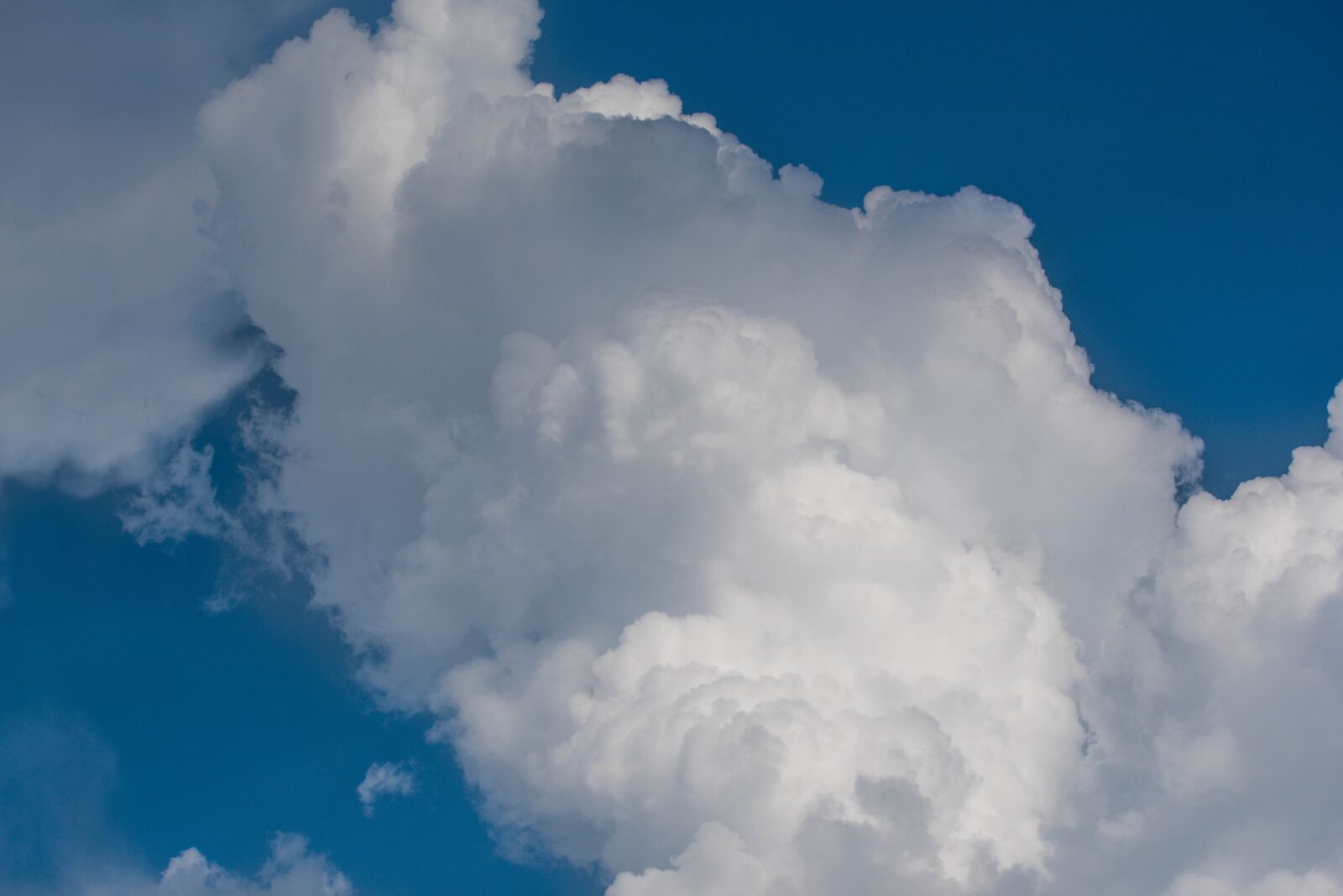 Nikon D750 sample photo. Sky, ppt backgrounds, white photography