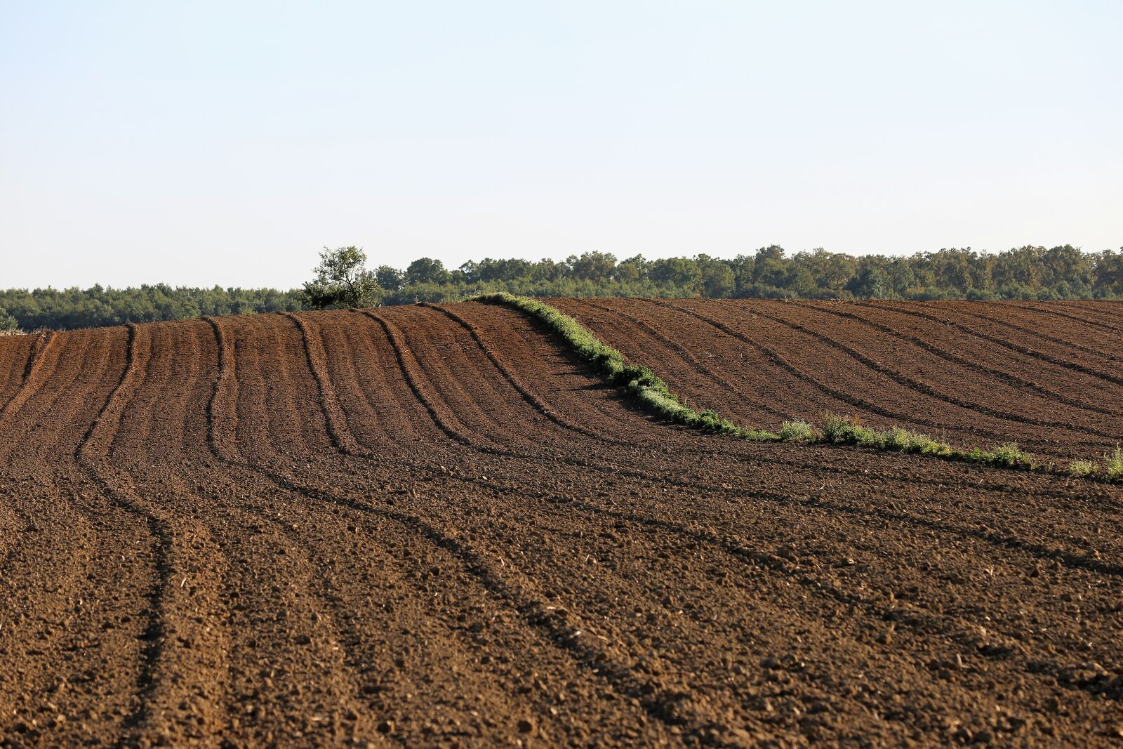 Canon EOS 6D sample photo. Earth, soil, farming photography