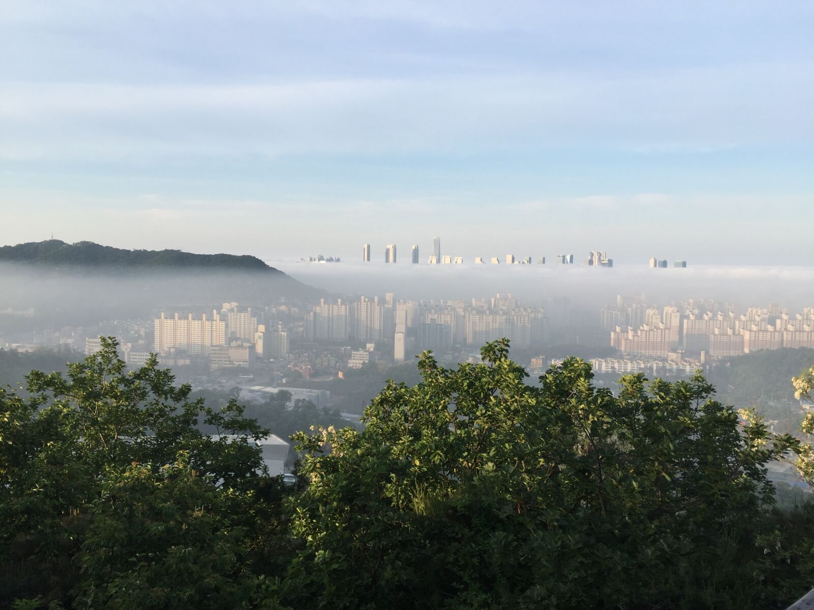 iPhone 6 Plus back camera 4.15mm f/2.2 sample photo. Misty, incheon metropolitan city photography