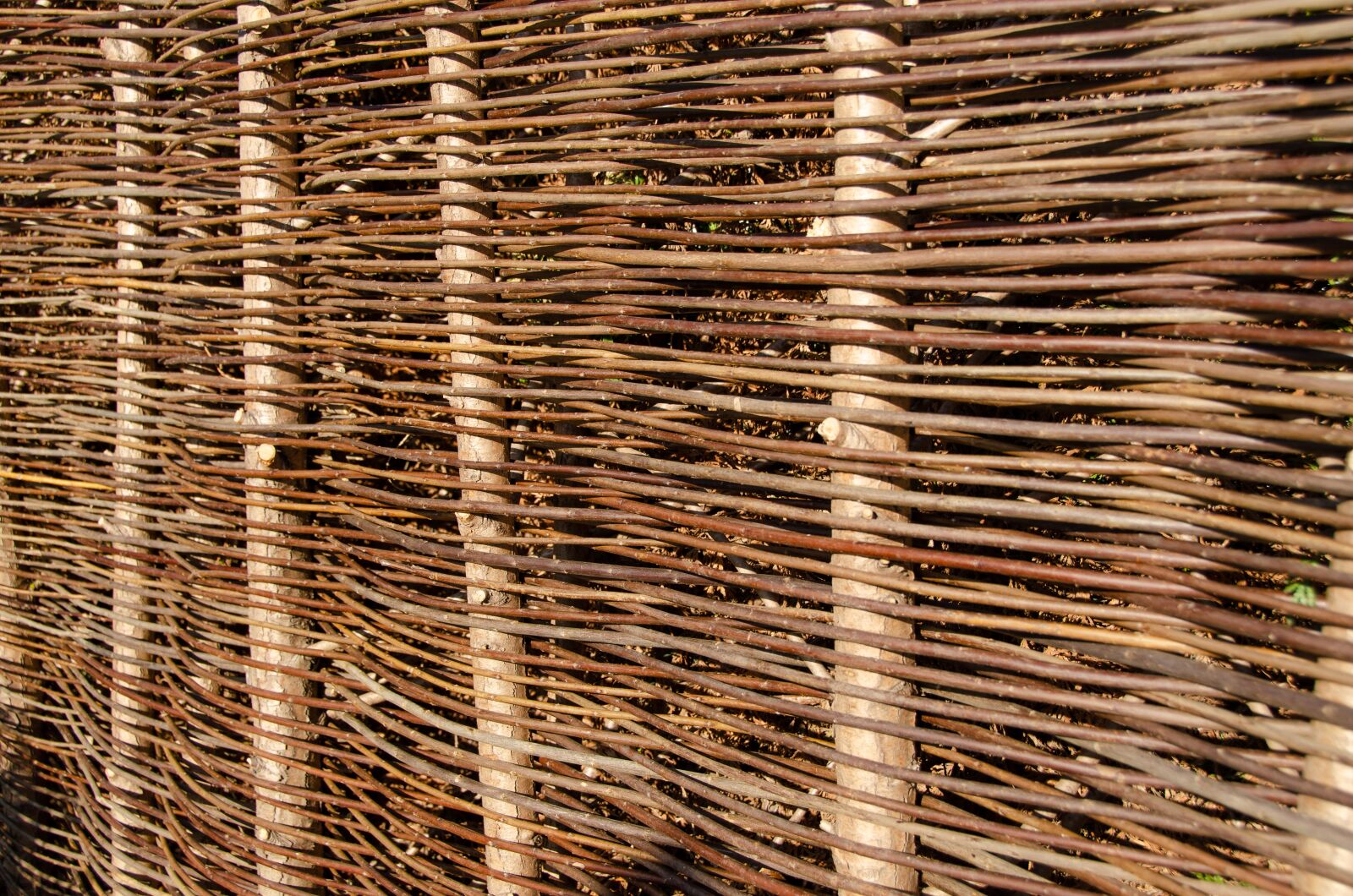 Nikon D7000 sample photo. Fence, wattle fence, pasture photography