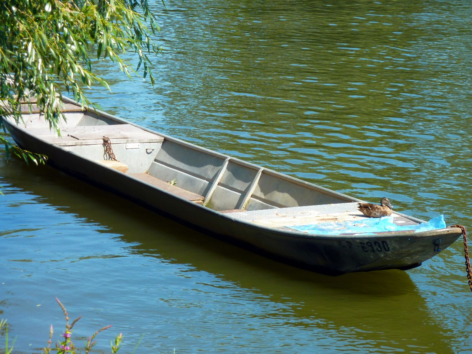 Panasonic DMC-TZ7 sample photo. Nache, boat, water photography