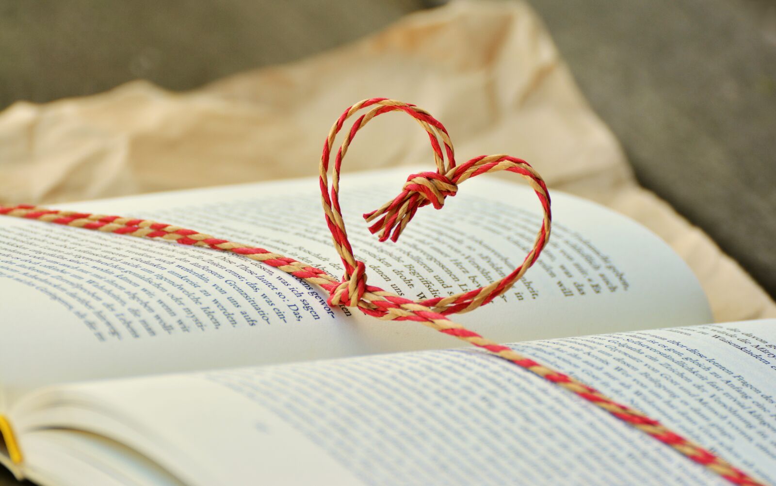 Nikon D5200 sample photo. Book, book gift, heart photography