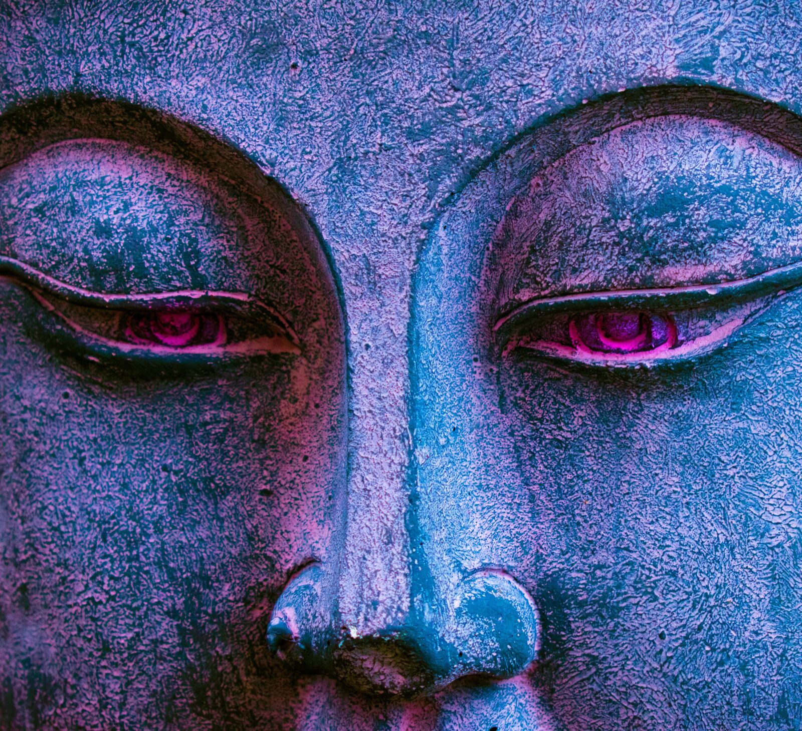 Nikon D3500 sample photo. Peace, buddha, meditation photography