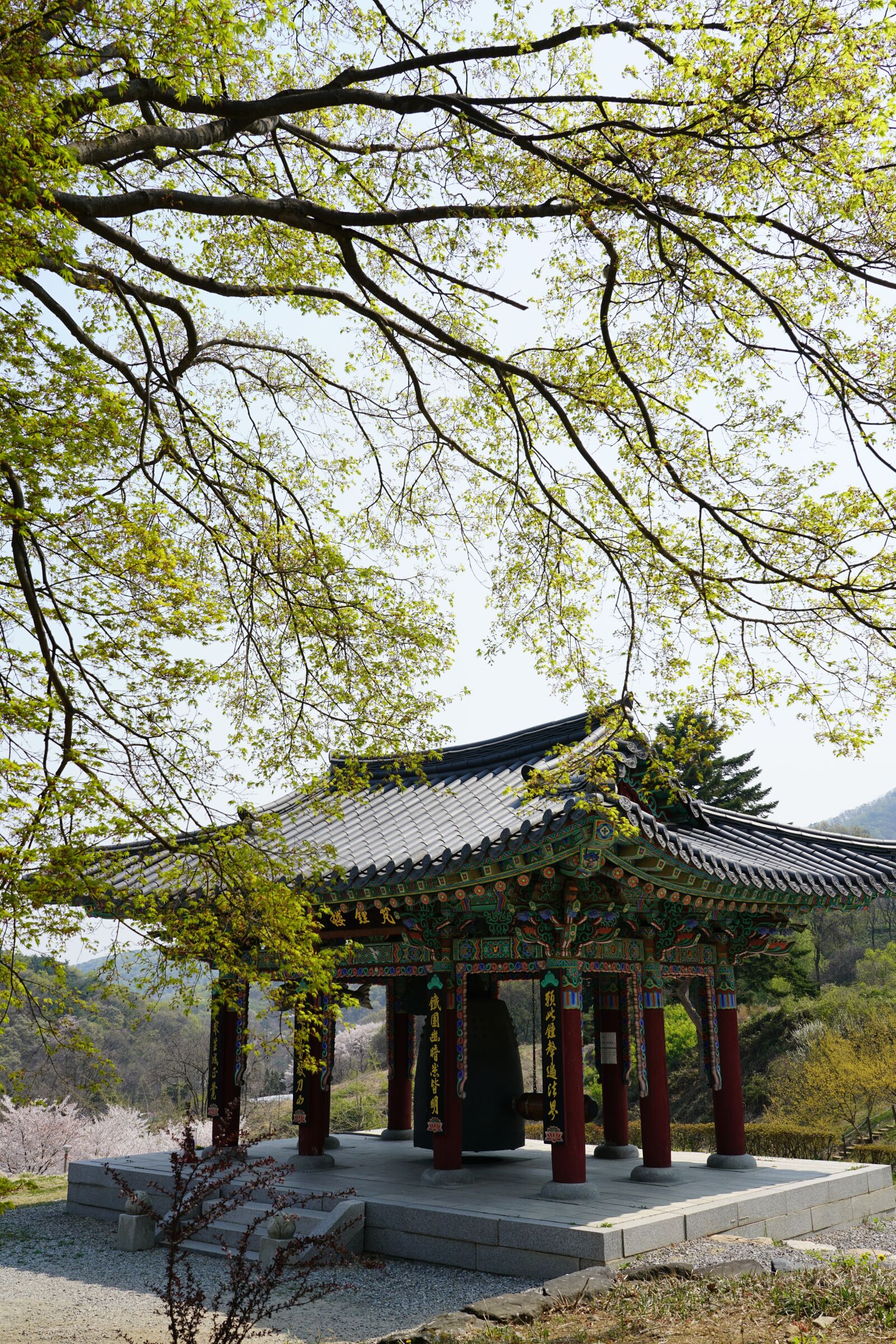 Sony FE 24-105mm F4 G OSS sample photo. Korea, temple, flower photography