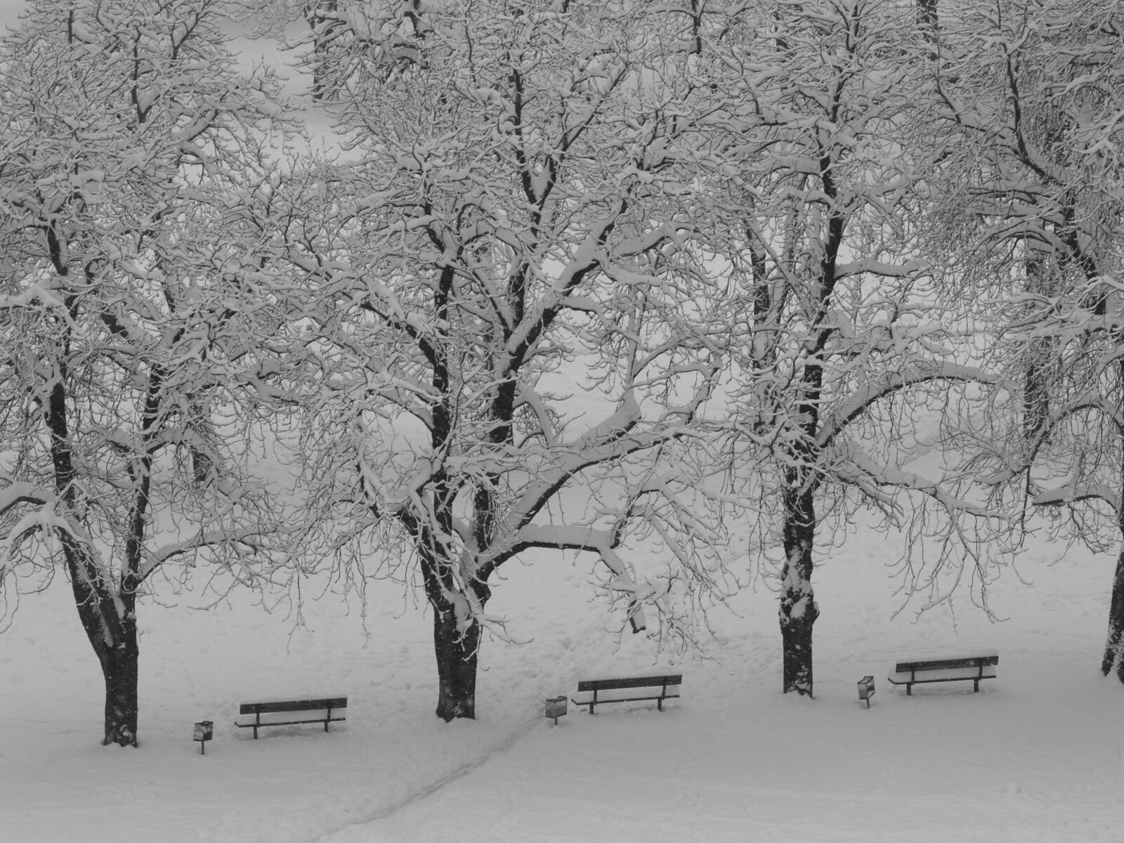 Olympus E-300 (EVOLT E-300) sample photo. Snow, park, city photography