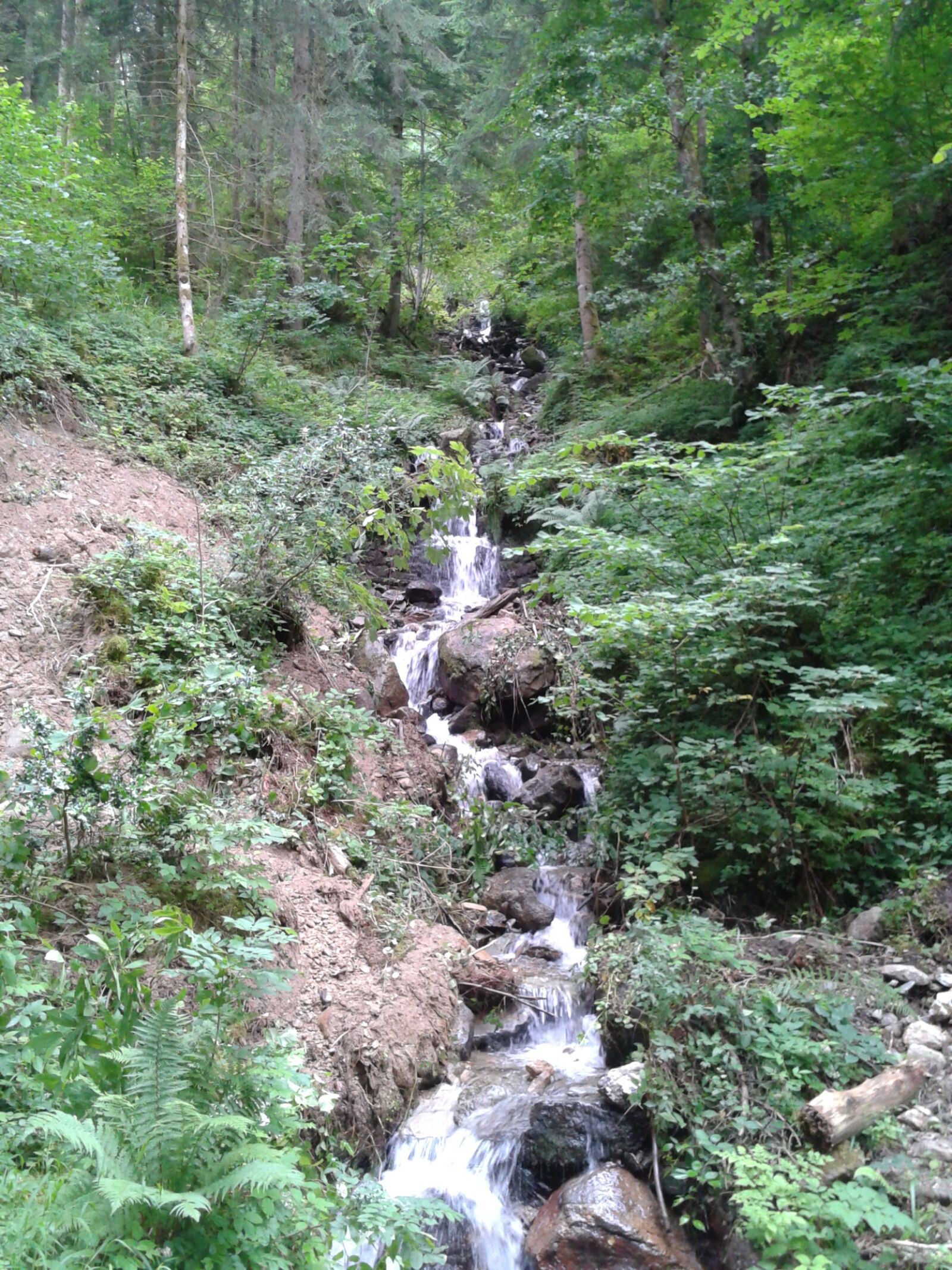Samsung Galaxy Ace sample photo. Mountain, creek, forest photography
