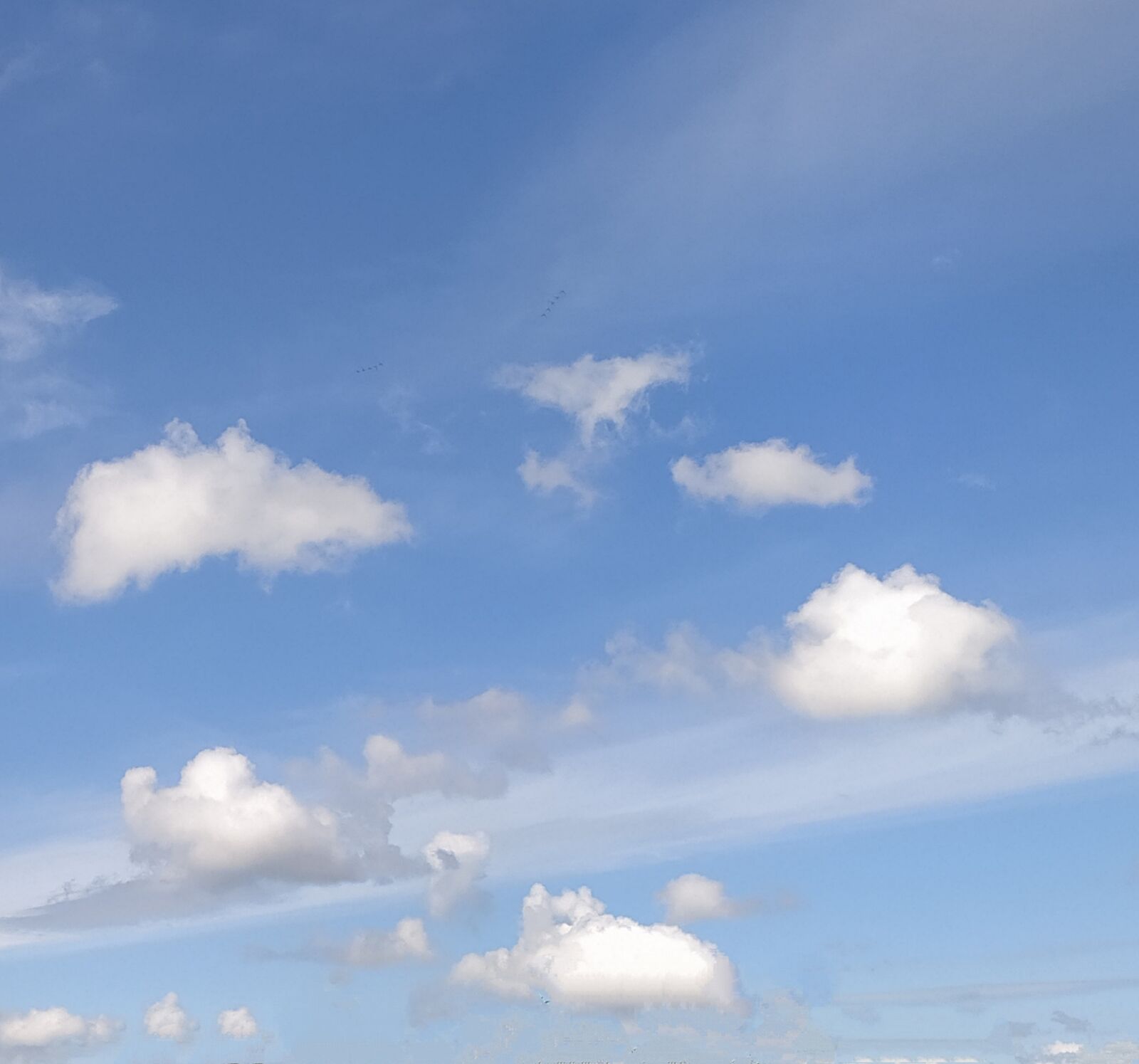 Xiaomi Redmi Note 8T sample photo. Russia, sky, blue photography