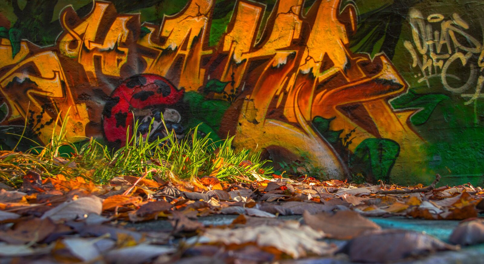 Canon EF-S 18-135mm F3.5-5.6 IS sample photo. Graffiti, sprayer, art photography