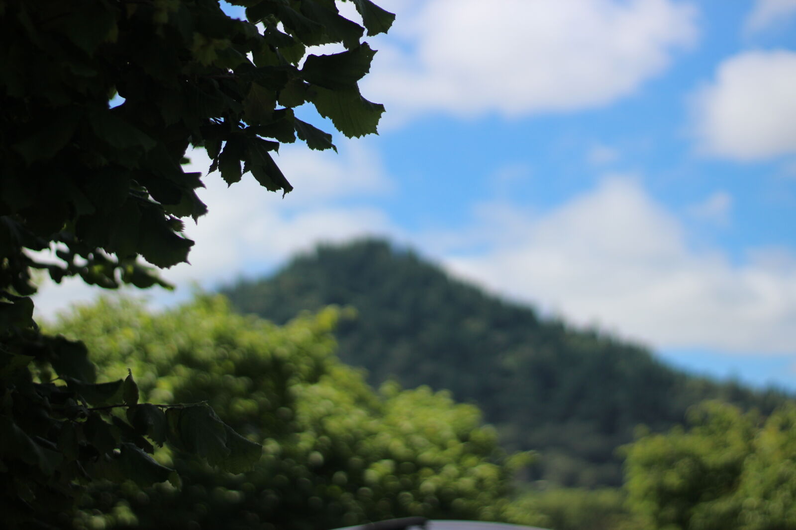 Canon EOS 1200D (EOS Rebel T5 / EOS Kiss X70 / EOS Hi) sample photo