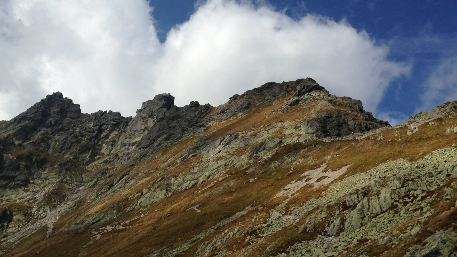 iPhone 5c back camera 4.12mm f/2.4 sample photo. Poland, the national park photography