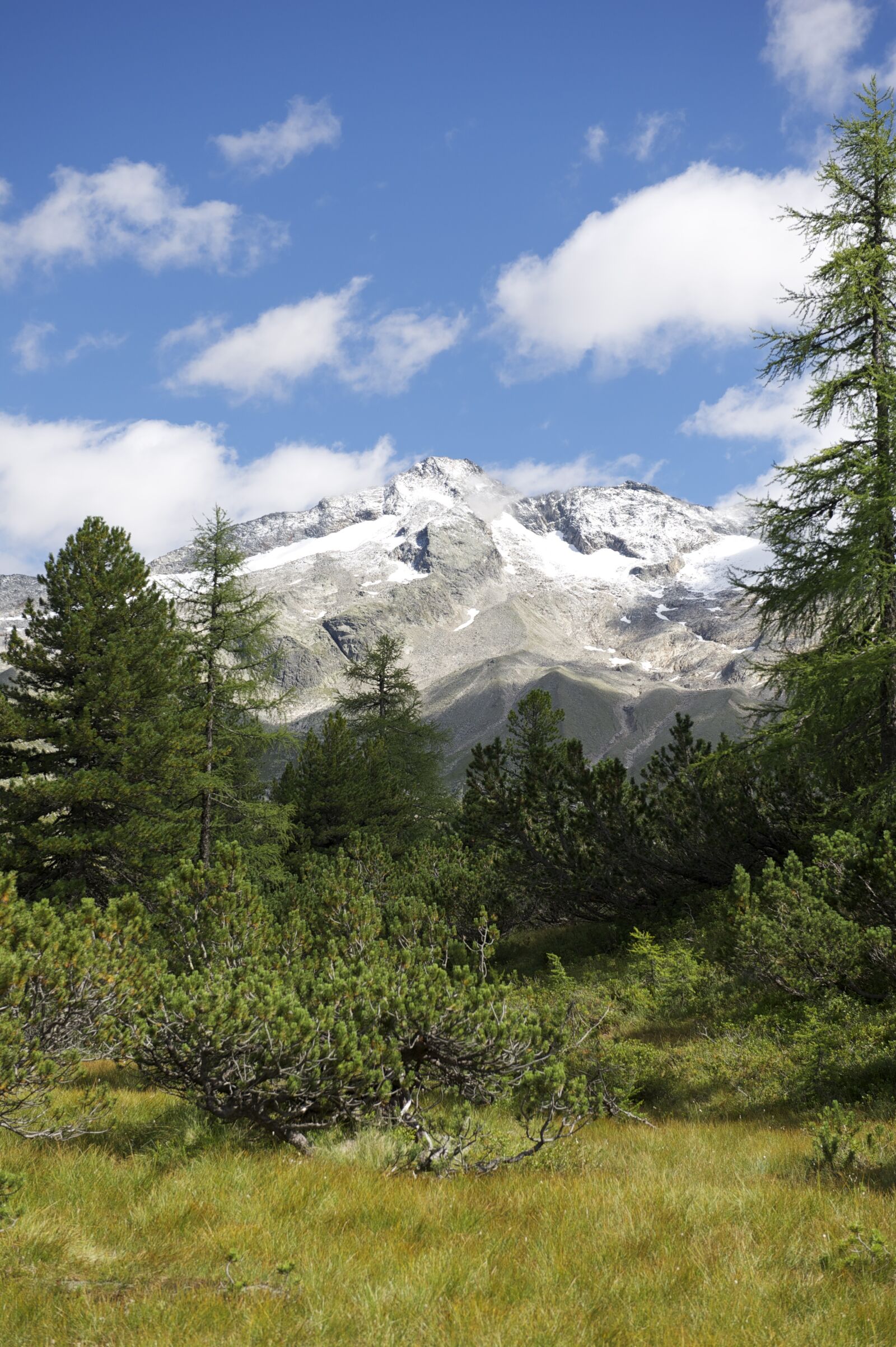 Nikon D3S sample photo. Mountain, high tauern, moor photography