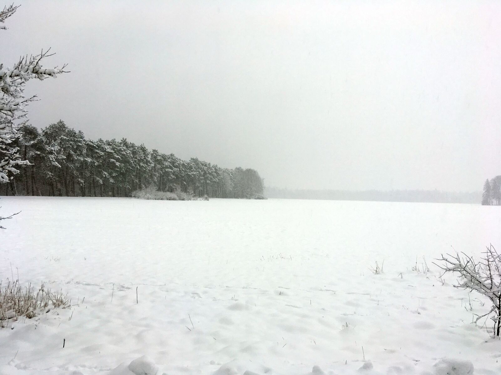 Apple iPhone SE sample photo. Schnee, winter, sibirien photography