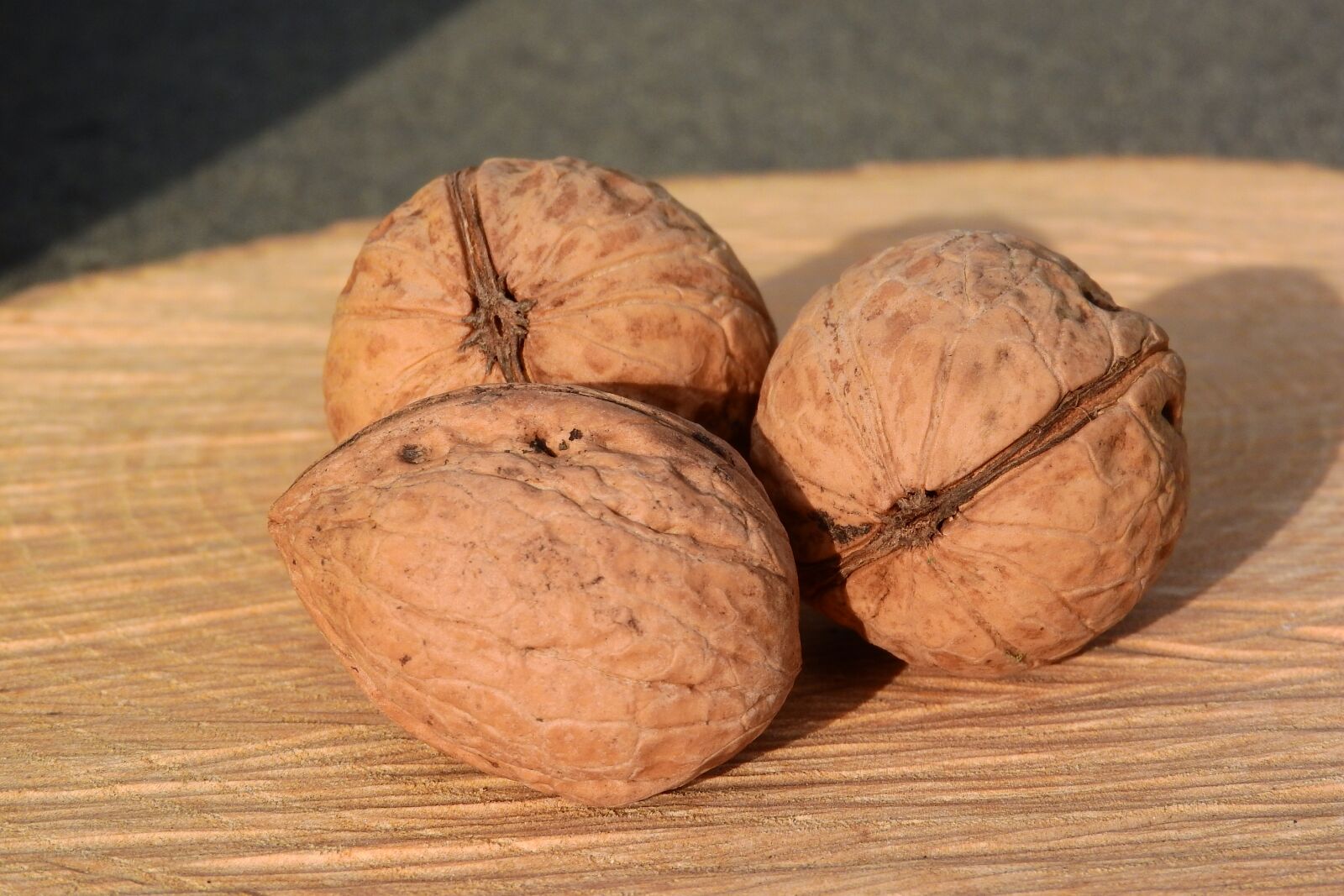 Nikon Coolpix P610 sample photo. Nuts, walnuts, shell photography