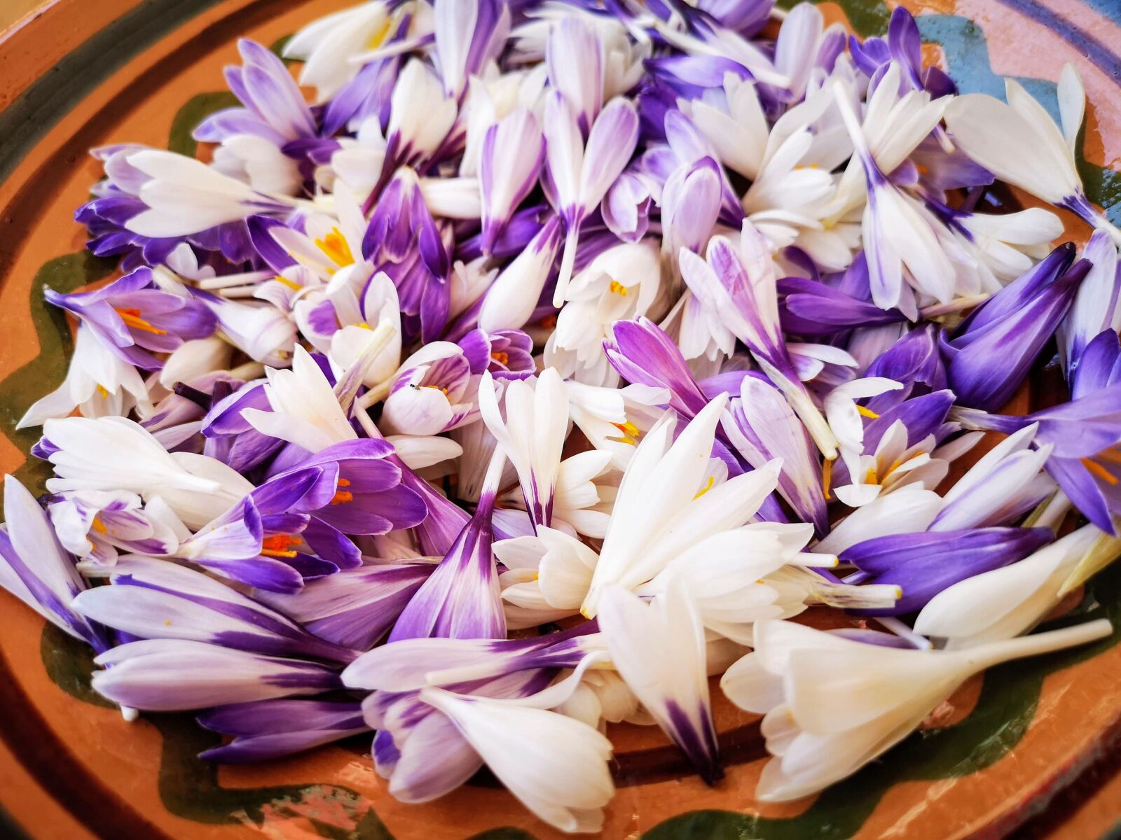 HUAWEI CLT-L09 sample photo. Crocus, vegetale, vegan photography