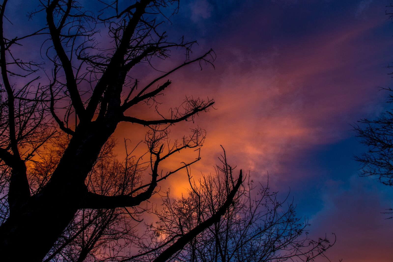 Canon EOS 70D sample photo. In the evening, silhouette photography
