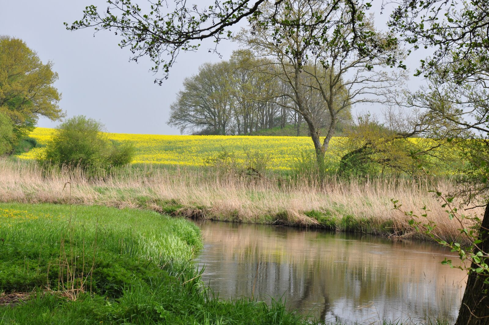Nikon D90 sample photo. Spring, bach, nature photography