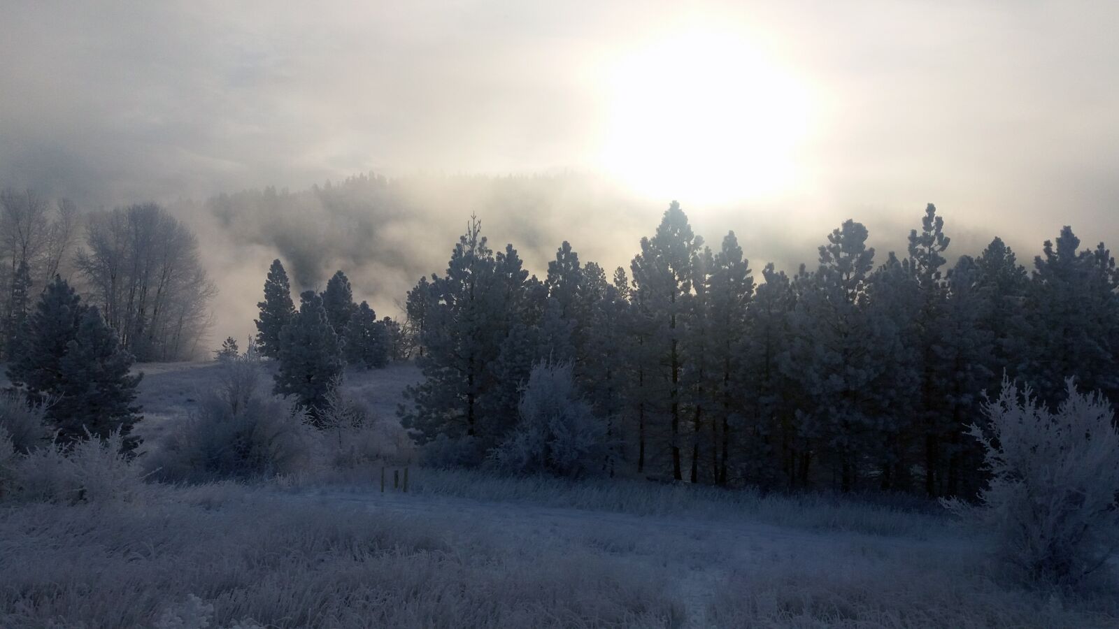 Samsung Galaxy J7(2015) sample photo. Spokane river, river, winter photography