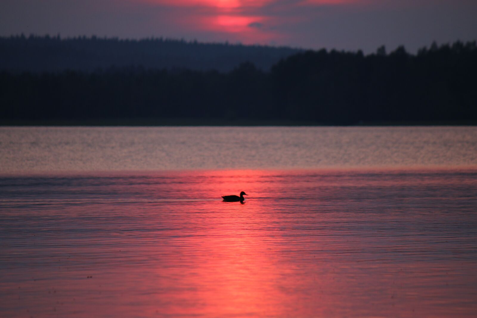 Canon EOS 70D + Canon EF-S 55-250mm F4-5.6 IS sample photo. Sunset, lake, finnish photography