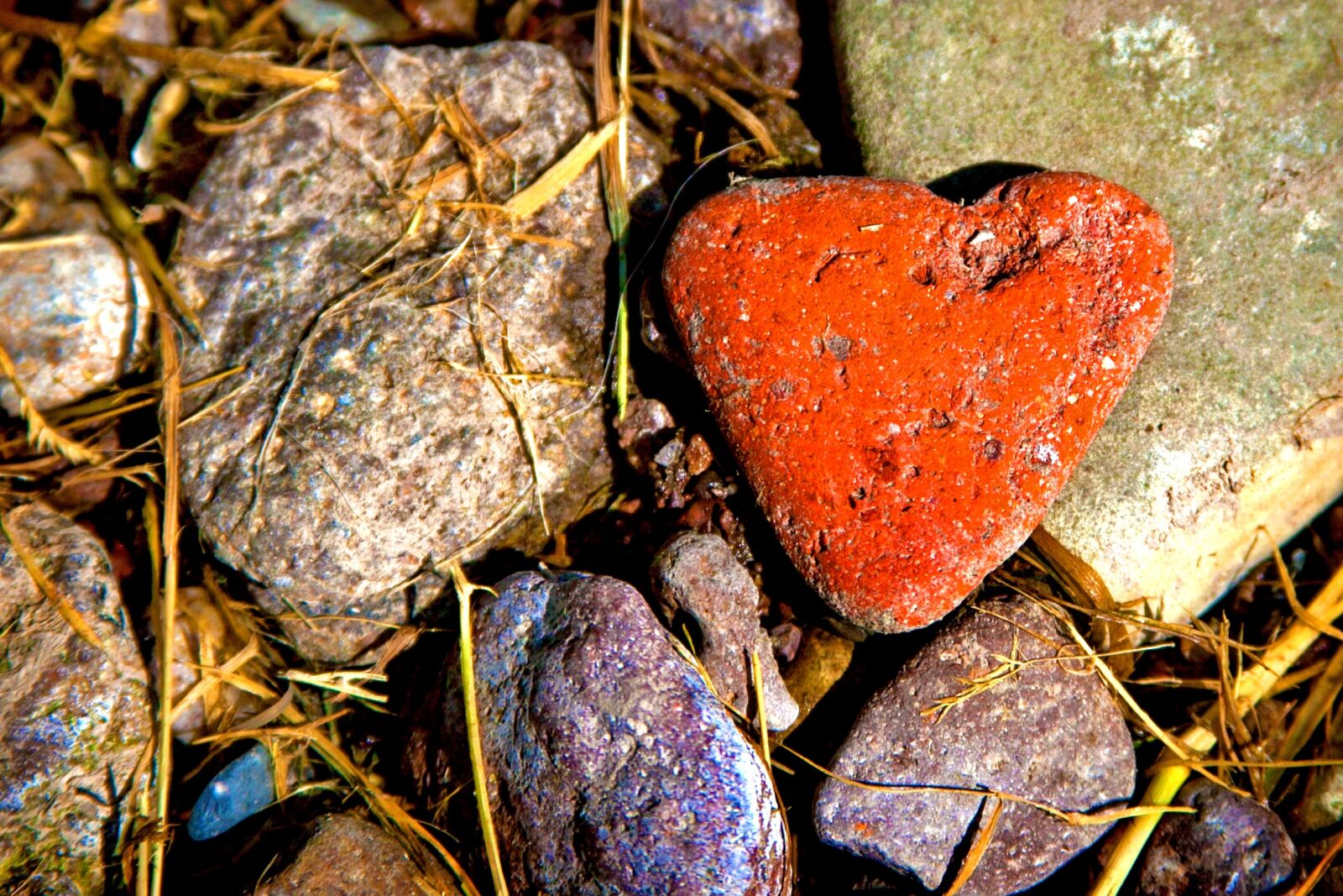 Canon EOS 5D Mark II + Canon EF 28-135mm F3.5-5.6 IS USM sample photo. Stones, heart, nature photography