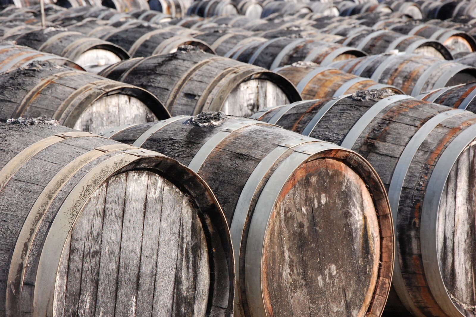 Nikon D40 sample photo. Wine barrels, wooden barrels photography