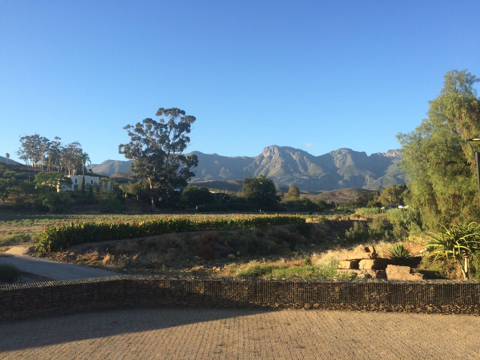 iPhone 5s back camera 4.15mm f/2.2 sample photo. South africa, robertson, landscape photography