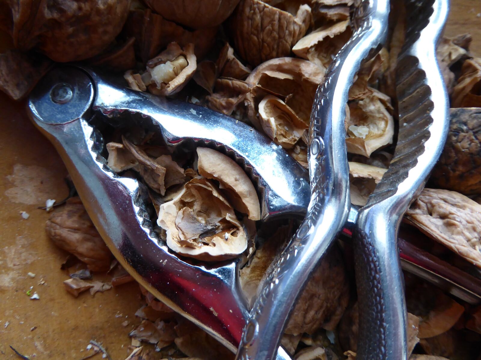 Panasonic DMC-TZ61 sample photo. Nutshells, nutcracker, walnuts photography