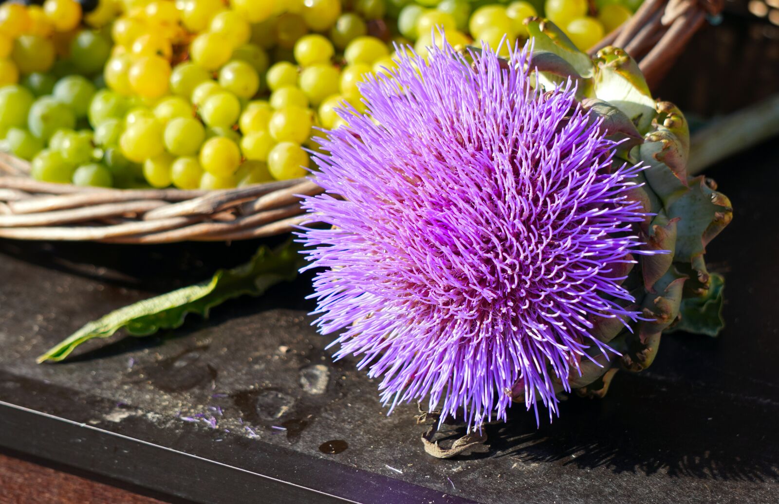 Sony E 55-210mm F4.5-6.3 OSS sample photo. Artichokes, blossom, bloom photography