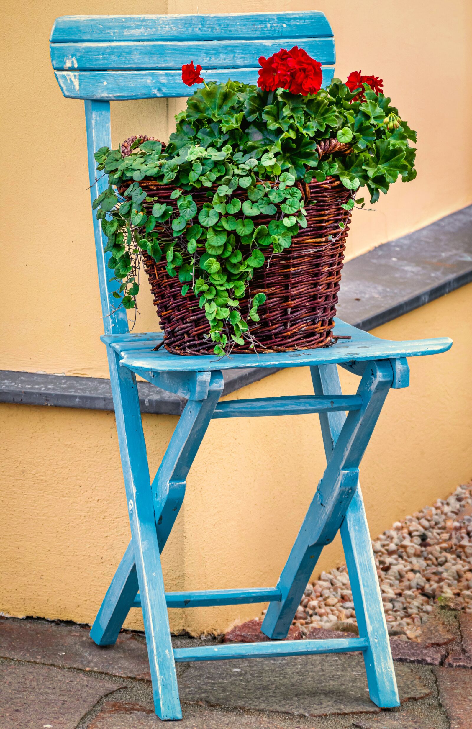 Canon EOS 80D sample photo. Chair, flower, basket photography