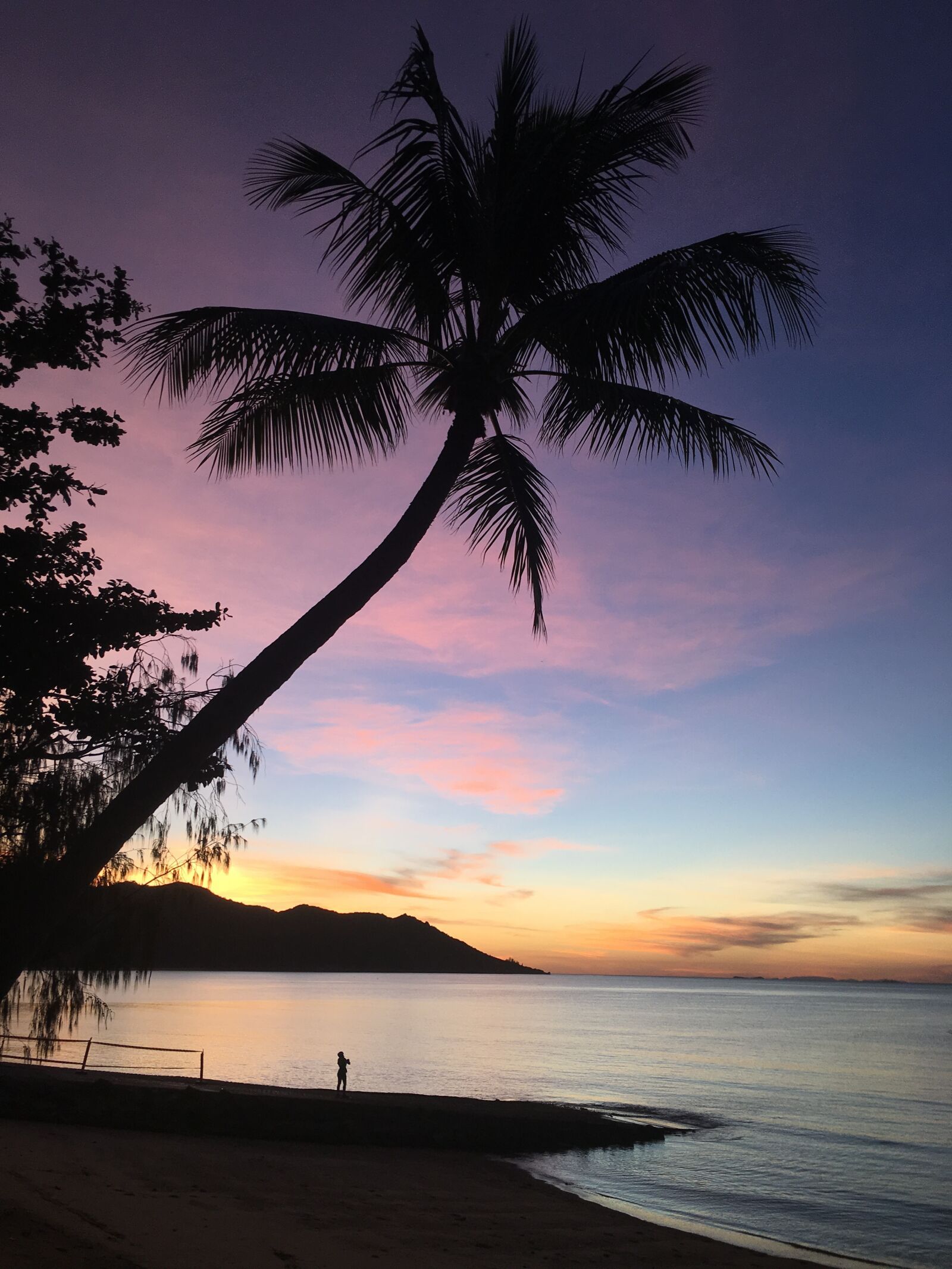 Apple iPhone 6s Plus sample photo. Palm, coconut, sunset photography