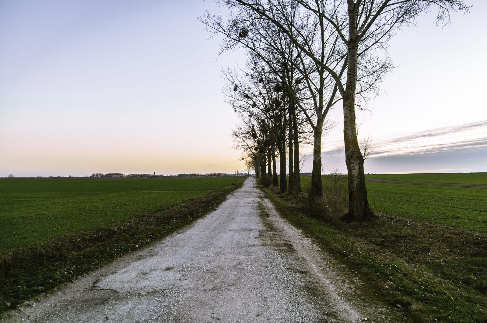 KONICA MINOLTA DYNAX 7D sample photo. Countryside, field, outdoors, path photography