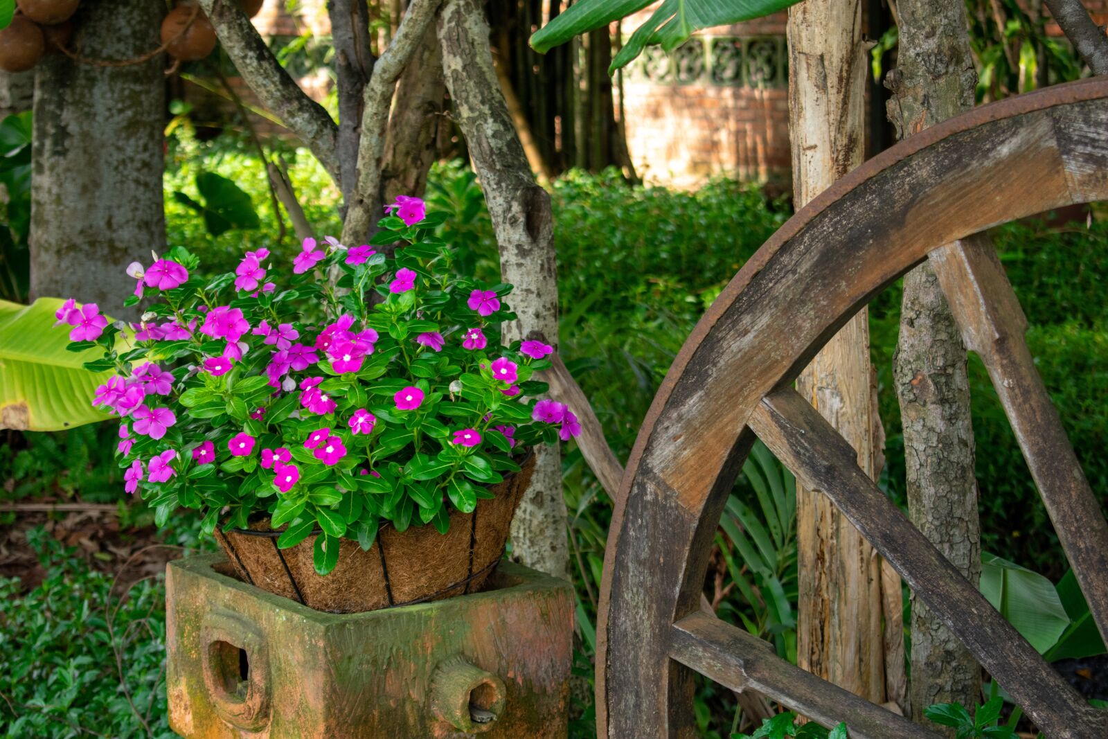 Nikon D3400 sample photo. Flowers, retro, purple photography