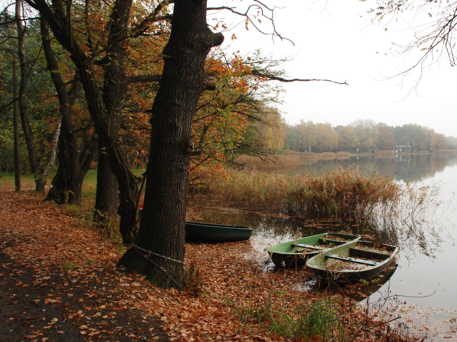 Nikon D80 sample photo. Autumn, water, boat photography