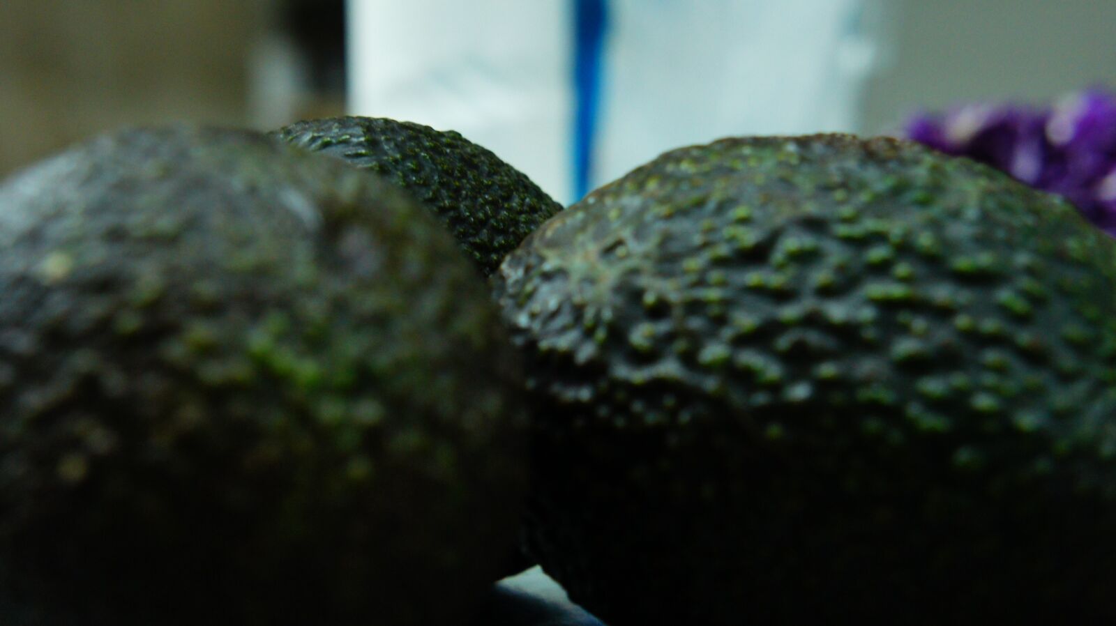 Sony Alpha NEX-5 sample photo. Avocado, ingredient, kitchen photography