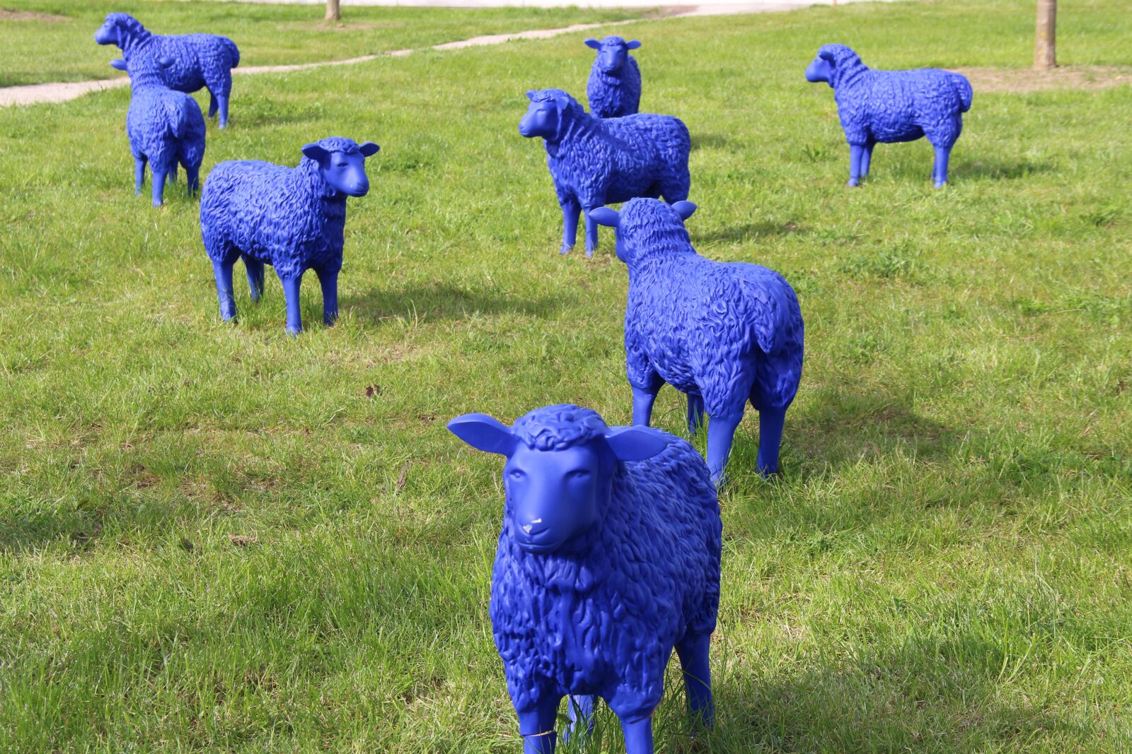 Canon EOS 700D (EOS Rebel T5i / EOS Kiss X7i) sample photo. Sheep, blue, meadow photography