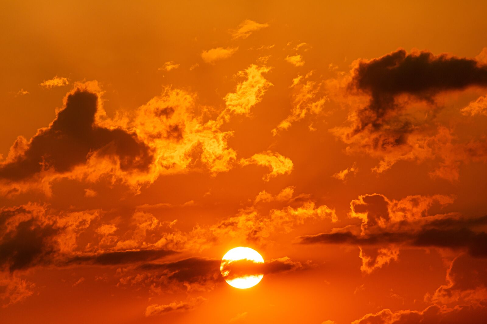 Canon EOS 750D (EOS Rebel T6i / EOS Kiss X8i) sample photo. Sun, clouds against the photography
