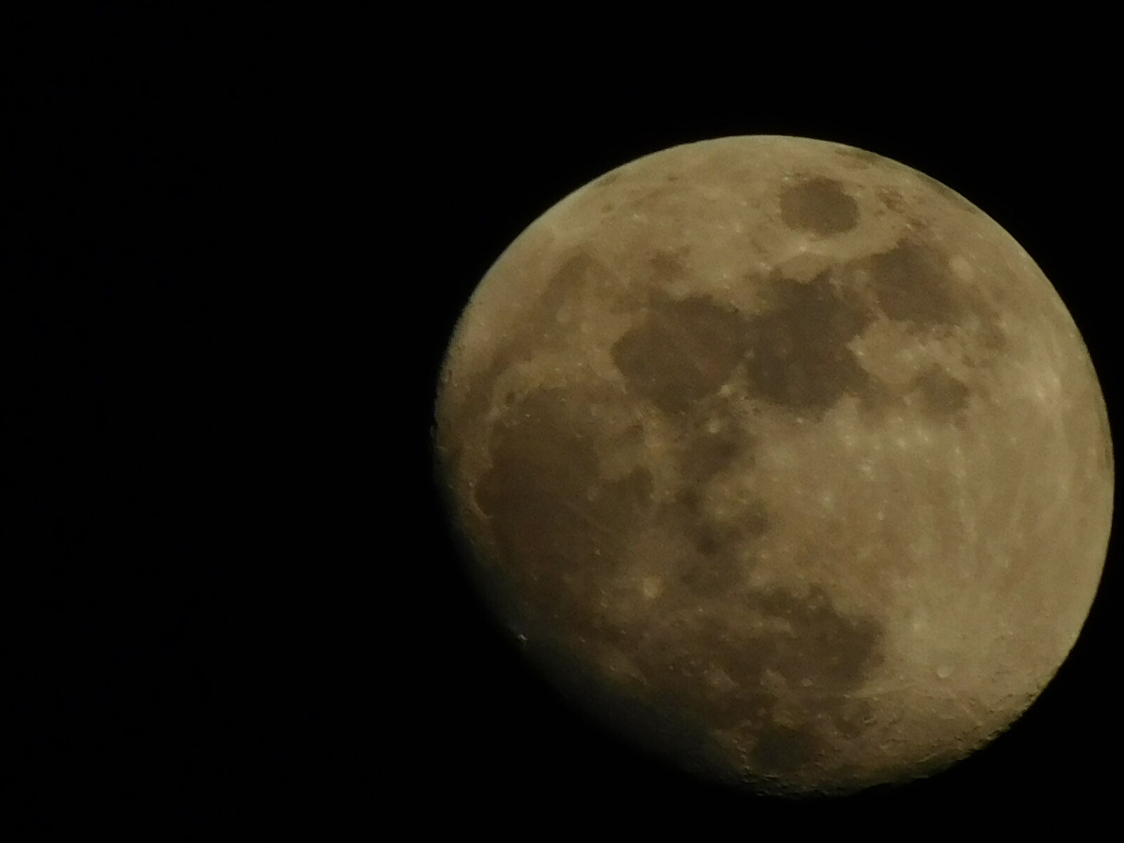 Nikon Coolpix L840 sample photo