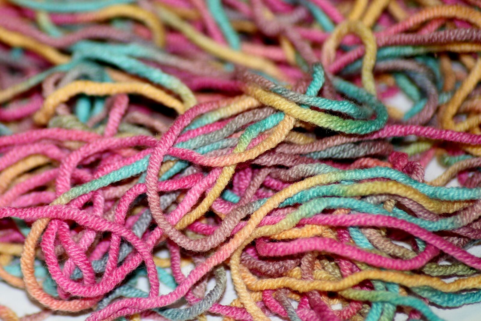 Canon EOS 1200D (EOS Rebel T5 / EOS Kiss X70 / EOS Hi) sample photo. Wool, yarn, color photography