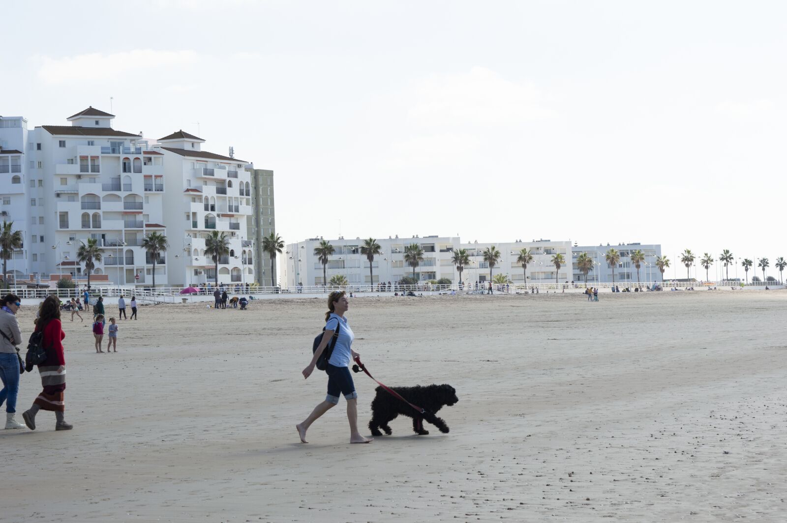Nikon D3200 sample photo. Beach, dog, sand photography