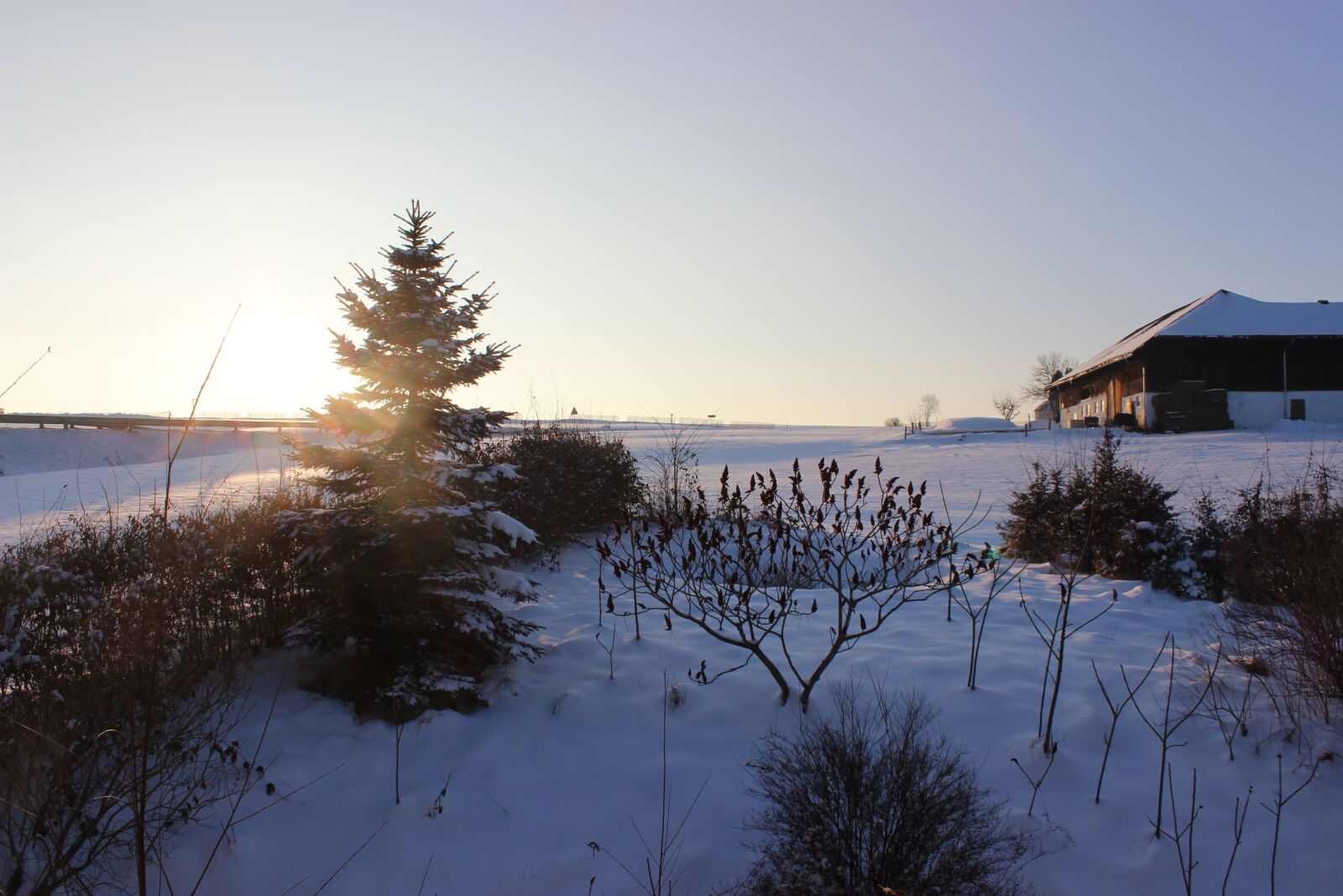 Canon EOS 600D (Rebel EOS T3i / EOS Kiss X5) sample photo. Snow, winter, january photography