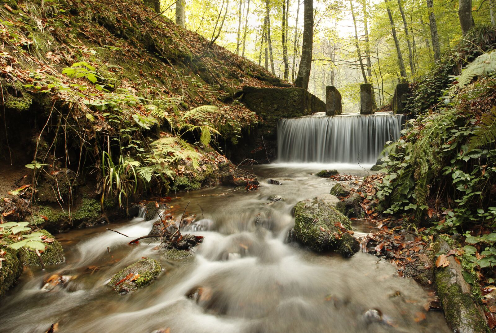 Canon EOS 600D (Rebel EOS T3i / EOS Kiss X5) sample photo. Bolu, seven lakes, national photography