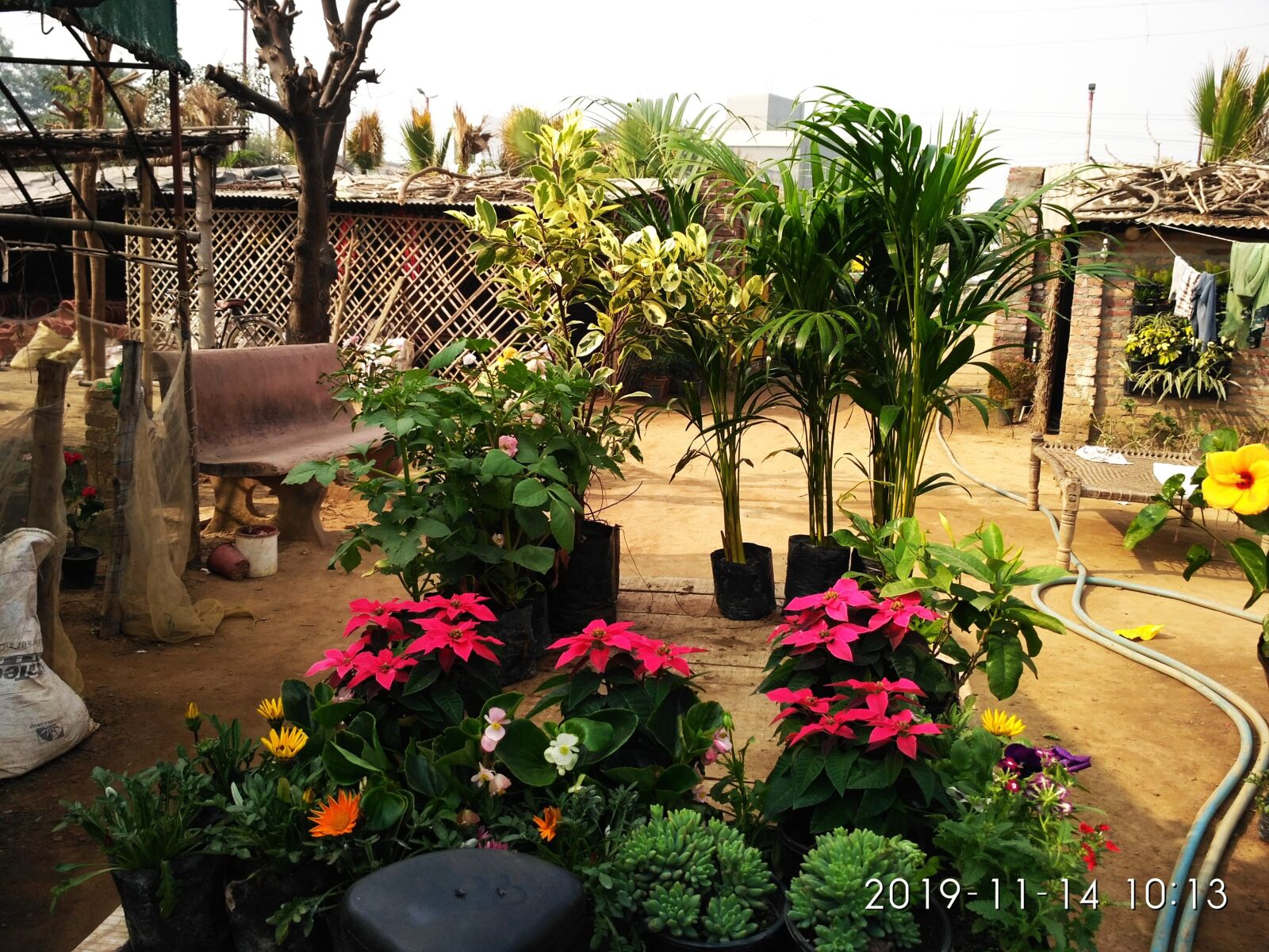 Xiaomi Redmi 3S sample photo. नर्सरी, फ्लॉवर, नर्सरी विजिट photography