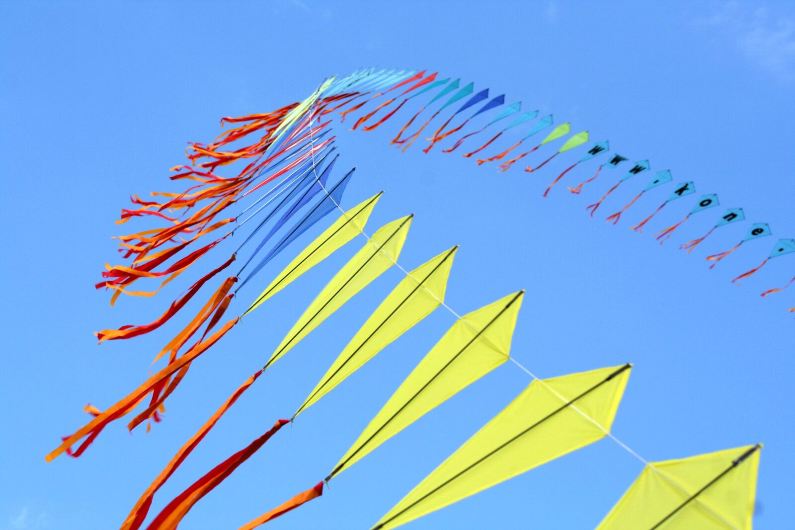 Canon EOS 350D (EOS Digital Rebel XT / EOS Kiss Digital N) sample photo. Kites, newport ri, festival photography